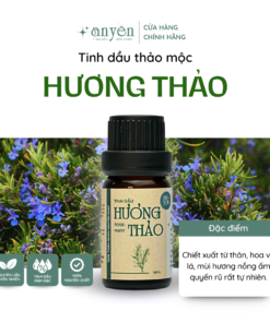 Tinh Dầu Thảo Mộc Hương Thảo