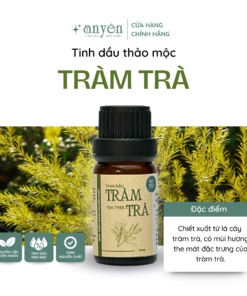 Tinh Dầu Thảo Mộc Tràm Trà