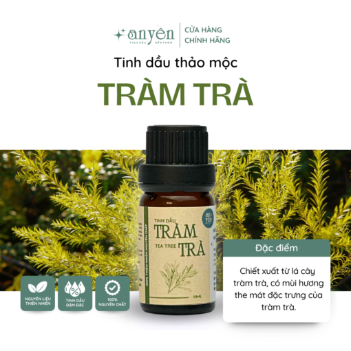 Tinh Dầu Thảo Mộc Tràm Trà