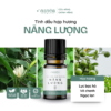 Tinh Dầu Hợp Hương Năng Lượng